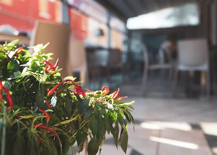 Venezia New Szálloda